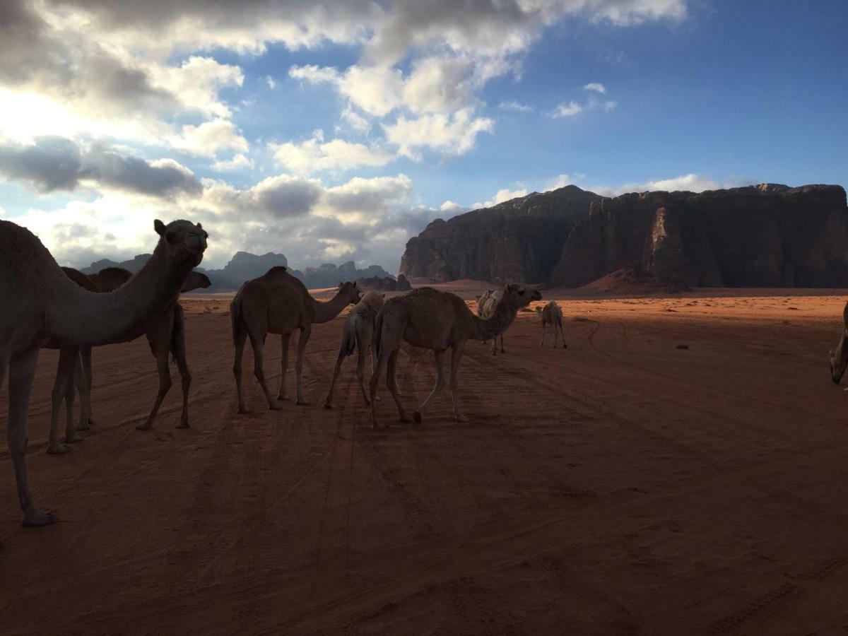 Desert Guide Camp Wadi Rum Exterior foto